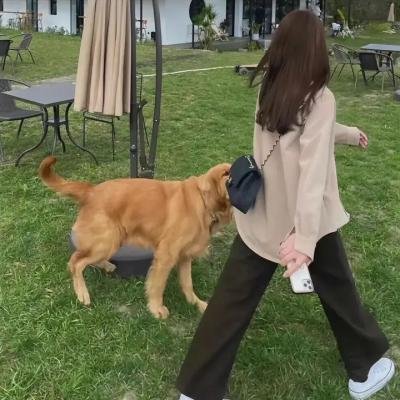 好兆头 电影海报